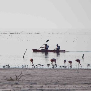 Kayak y observación de aves. Atractivo de turismo del área.