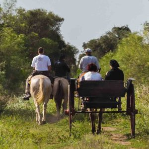 Carroza y caballos. Atractivo de turismo del área.
